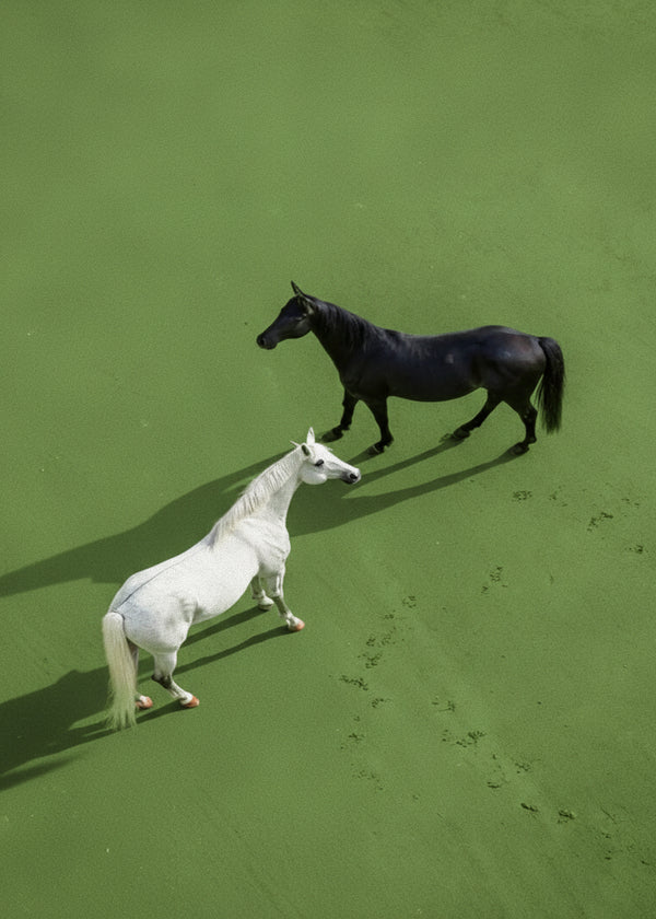 Echecs Equins sans cadre