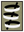 Spirale Sombre avec cadre